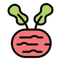 Fresh beetroot growing with leaves, healthy vegetable icon vector