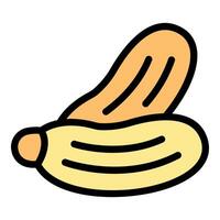 Peeled peanut showing its inside with soft light vector
