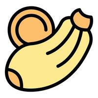 Peeled banana with a slice showing potassium content vector