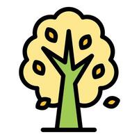 Autumn tree losing its colorful leaves in gentle breeze vector