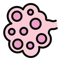 Alveoli showing alveolar sacs and alveolar ducts in the lungs for oxygen exchange vector