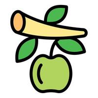 Grafting process showing scion and rootstock with apple vector