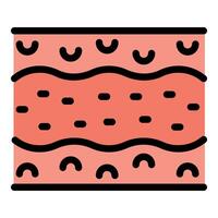 Muscle tissue showing sliding filament theory of muscle contraction vector