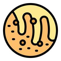 Round cookie covered with drizzling icing and chocolate chips vector