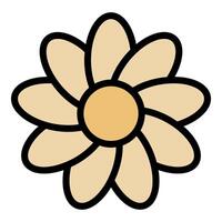 Blooming chamomile flower with delicate petals and vibrant yellow center vector