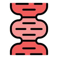 Dna structure showing nitrogenous bases connecting two strands vector