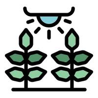 Smart farm using hydroponic technology growing plants with artificial light vector