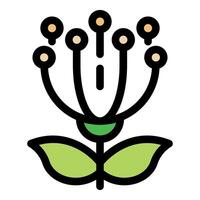 Blooming flower with green leaves and round petals, botanical icon vector