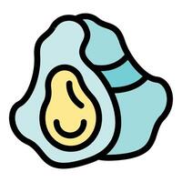 Fresh open oyster with shell and meat displaying culinary delight vector