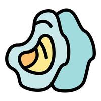Fresh open oyster showing delicious meat inside shell vector