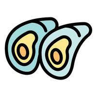 Two fresh oysters showing delicious meat inside shell vector