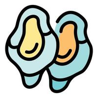 Two fresh oysters showing delicious, nutritious, and appetizing meat vector