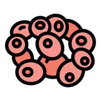 Ovum cells forming zygote representing reproduction and fertilization process vector