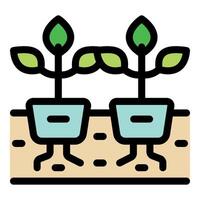 Seedlings growing in pots, taking root in the ground vector