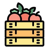 Fresh produce harvesting, apples and tomatoes filling wooden crates in agriculture vector