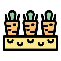 Carrots growing in rectangular planter box, gardening and vegetable production vector
