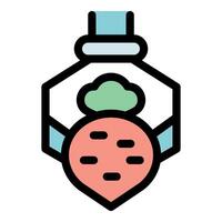 Beetroot growing in hexagonal jar with nutrient solution vector