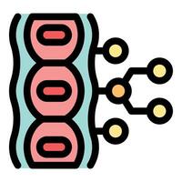 Cell division process showing biological development and growth vector