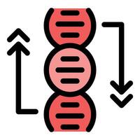 Dna structure showing increasing and decreasing levels with up and down arrows vector