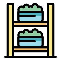 Growing plants using hydroponics method on wooden shelves vector