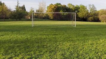 View From Drone Moving Over Green Grass Towards And Above Soccer Net video