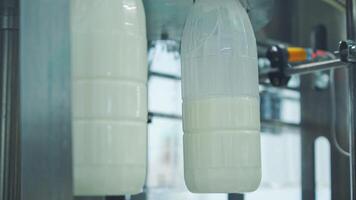 Bottles filling with milk by mechanical machine. Upgraded technology in dairy factory. Process of pouring milk into plastic bottles. Close-up. video