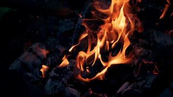 Explosion of flame with bright sparks. Black smoldered logs explode with fiery flame on dark background outdoors. Close-up. video