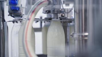 Conveyor line for pouring dairy products into plastic bottles at milk factory. Plastic bottles go around conveyor belt and filling with milk. Slow motion. video