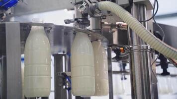 Upgraded technology in dairy factory. Plastic bottles filling with milk by mechanical machine. Process of pouring milk into plastic bottles moving in a circle. Dairy production. video