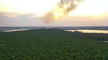 Panoramic view on green forest at sunset. Natural background of summer scenery of green trees and rivers. Aerial view. Slow motion. video