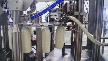 Robotic process for filling bottles with milk in a factory. Milk is pouring into plastic bottles by a special automatic equipment in a modern dairy plant. video