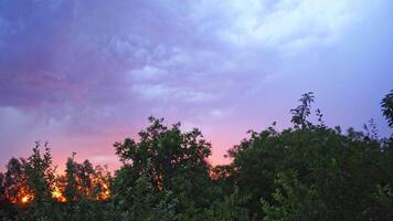 Panoramic view of blue sky with impressive lightning at sunset. Bright lightning on the cloudy sky over the green trees in summer. video