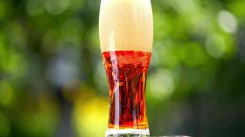 White foam becoming into dark beer with bubbles in glass. Foamy alcohol beverage in a tall glass on blur background. Close-up. video