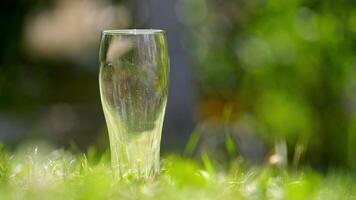 Dirty empty glass after beer on a grass. Glass without any drink on green grass background in summer. Close-up. video