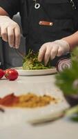Cook transfers portion of salad, which includes medley of greens and vegetables, and is dressed with delectable honey-mustard dressing, from large bowl to plate for presentation to customer in restaurant. video