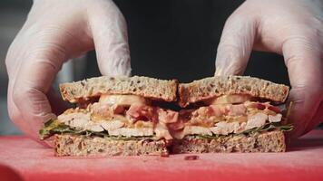 Traditional American sandwich, featuring sliced chicken, vegetables, and salad, is divided into two portions for presentation in restaurant. Tutorial. Close up. video