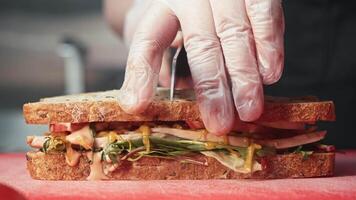 Chef, wearing gloves, cuts juicy sandwich in half using sharp knife. sandwich consists of toast, toast with crust, vegetables, and meat. Close up. video