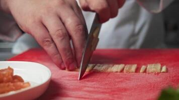 Cucumbers are cut into thin slices and used as part of seafood dish, which also includes red fish and a bread tortilla. Close up video