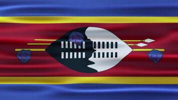 Eswatini Realistic Waving Flag Animation video