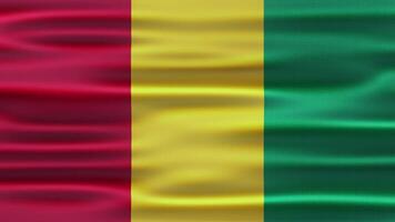 Guinea Realistic Waving Flag Animation video