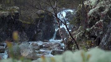 Small waterfall between the rocks in the forest. Clip. Mountainous stream coming down from the stones. video