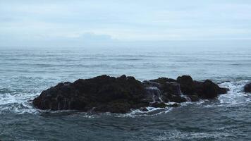 Sea rocks with moving waves on background cloudy horizon. Clip. Rocky rocks stick out in water on seashore on cloudy day. Beautiful seascape with rocks in cloudy weather video