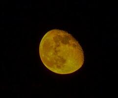 Golden Waxing Gibbous Moon in Night Sky photo