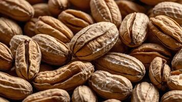 A close-up image of numerous whole walnuts, showcasing their textured shells. photo
