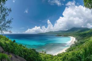 Tropical Beach with Lush Greenery and Blue Ocean Under a Cloudy Sky photo