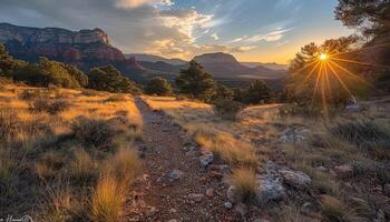 A winding trail through a grassy field leading towards a sunlit mountain range at sunset. photo