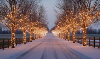 A road with a fence on the side and trees lit up with Christmas lights photo