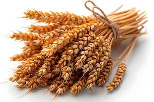 Golden Wheat Bundle for Autumn Harvest and Rustic Farmhouse Decor photo