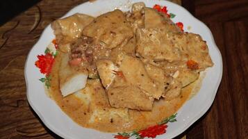 Lenthog Tanjung, a dish made from pieces of lontong, jackfruit, tempeh and tofu photo