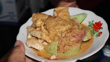 Lenthog Tanjung, a dish made from pieces of lontong, jackfruit, tempeh and tofu photo